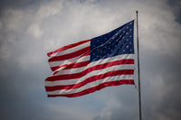 Veteran Owned Business